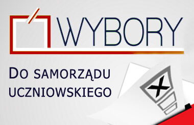 wybory